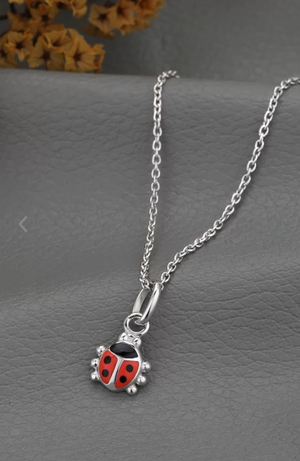 Ladybug Pendant set with chain- for kids